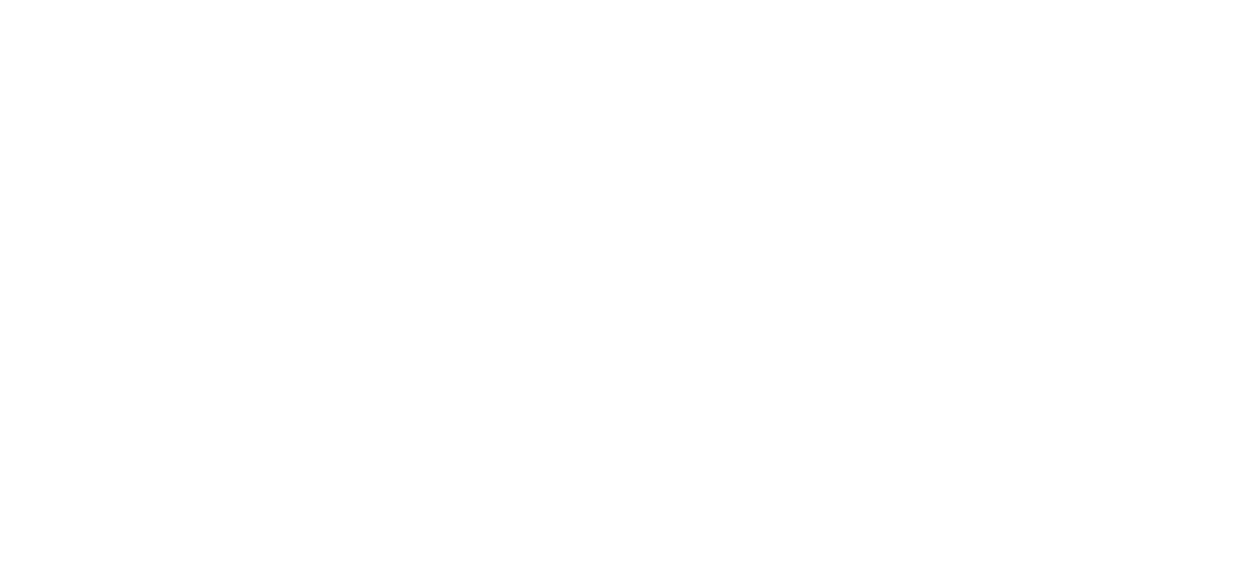 Willy Tours