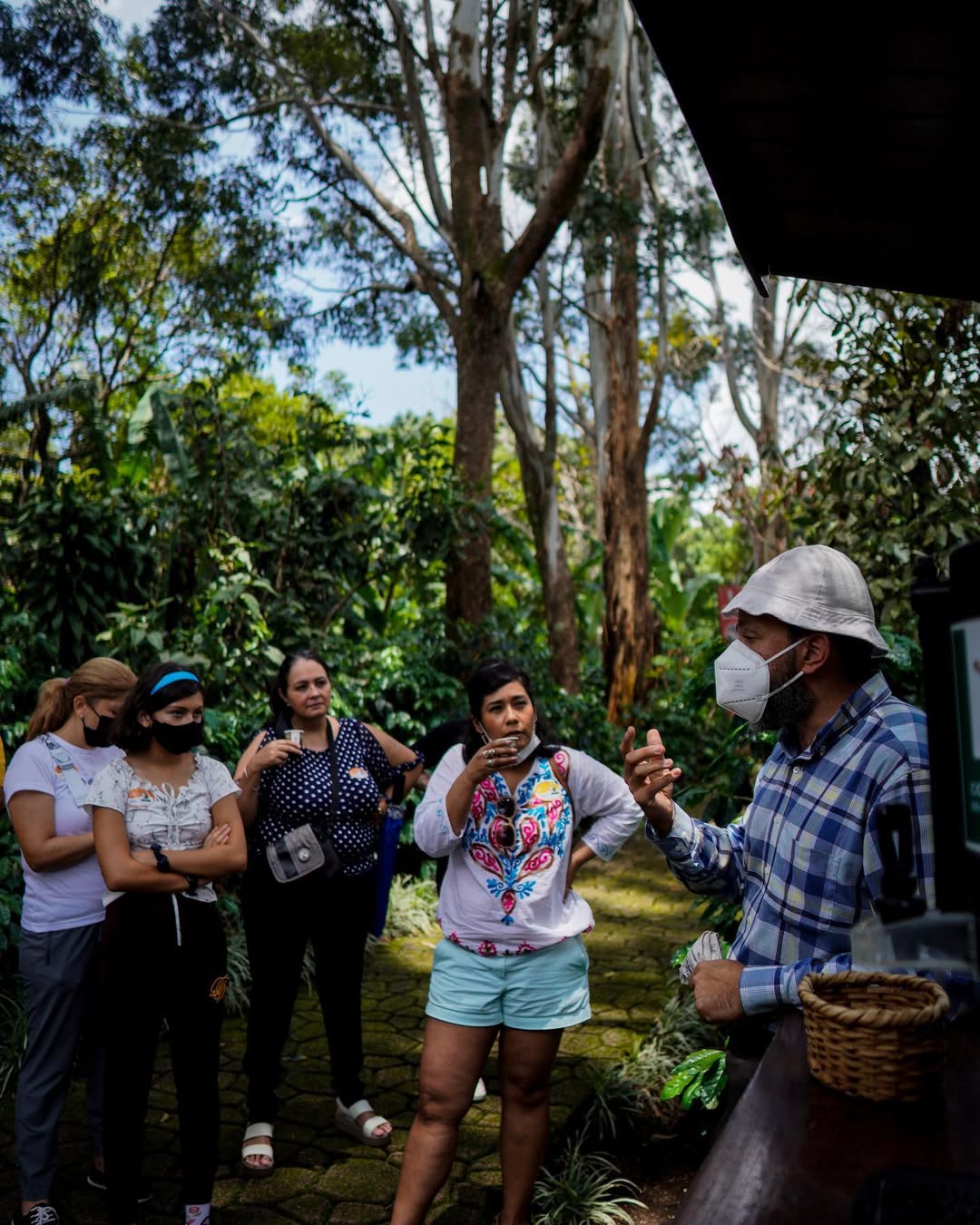 Coffee tasting experience at the Café Britt estate