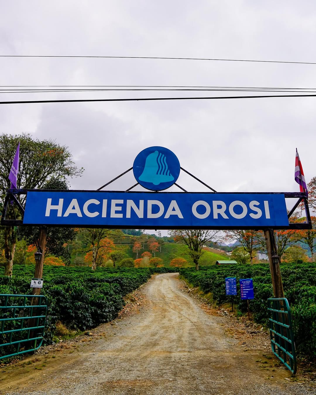 Lush natural wonders and landscapes of Costa Rica